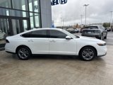 Used 2024 Honda Accord EX image 4