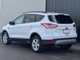 Used 2016 Ford Escape SE w/ SE Leather Comfort Package image 3