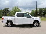 Used 2016 Ford F150 XLT w/ Equipment Group 302A Luxury image 3