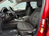New 2025 Ford Escape Active w/ Cold Weather Package image 4