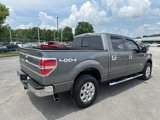 Used 2013 Ford F150 XLT w/ Luxury Equipment Group image 4