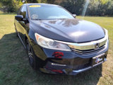 Used 2017 Honda Accord Sport image 3