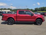 Used 2016 Ford F150 XLT w/ Equipment Group 302A Luxury image 6
