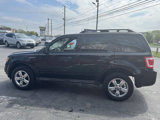 Used 2012 Ford Escape XLT image 3