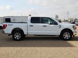 Used 2023 Ford F150 XLT image 6
