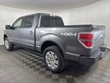 Used 2013 Ford F150 Platinum image 6