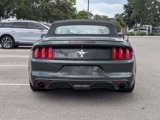 Used 2015 Ford Mustang Convertible w/ Equipment Group 051A image 4
