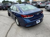 Used 2019 Hyundai Sonata ECO image 5