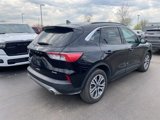 Used 2022 Ford Escape SEL image 4