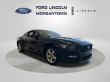 Used 2016 Ford Mustang Coupe image 3