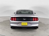 Used 2019 Ford Mustang Premium w/ Enhanced Security Package image 4