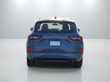 New 2024 Ford Escape ST-Line w/ Tech Pack #1 image 5