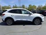 Certified 2022 Ford Escape SE image 4