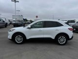 Certified 2020 Ford Escape SE image 2