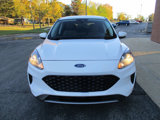 Used 2021 Ford Escape SE image 2