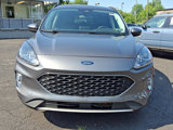 Certified 2022 Ford Escape SEL image 2