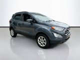 Used 2019 Ford EcoSport SE w/ SE Convenience Package image 3