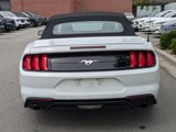 Certified 2023 Ford Mustang Premium image 5