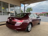 Used 2011 Honda Accord EX-L image 5