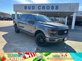 New 2025 Ford F150 STX image 1