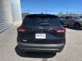 New 2025 Ford Escape ST-Line image 4