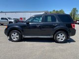 Used 2011 Ford Escape XLT w/ 203A Rapid Spec Order Code image 5