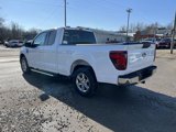 New 2025 Ford F150 XLT w/ Equipment Group 301A Standard image 6