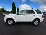 Used 2009 Ford Escape 4WD Hybrid image 4