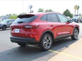 New 2025 Ford Escape ST-Line w/ Tech Pack #1 image 5