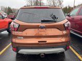 Used 2017 Ford Escape SE w/ Equipment Group 201A image 3