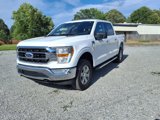 Used 2023 Ford F150 XLT w/ Equipment Group 301A Mid image 3
