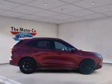 Certified 2023 Ford Escape ST-Line Elite image 4