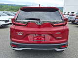 Used 2022 Honda CR-V Special Edition image 5