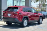 Certified 2021 Toyota RAV4 XLE image 5