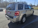 Used 2011 Ford Escape XLT w/ 203A Rapid Spec Order Code image 3