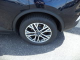 Used 2021 Ford Escape SEL image 4