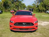 Used 2018 Ford Mustang Coupe w/ Wheel & Stripe Package image 5