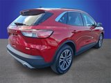 Used 2020 Ford Escape SEL image 5