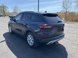 Used 2025 Ford Escape Active w/ Cold Weather Package image 4
