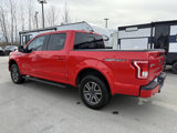 Used 2015 Ford F150 XLT w/ Equipment Group 302A Luxury image 4