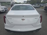 Used 2021 Cadillac CT4 Luxury w/ Sun And Sound Package image 5