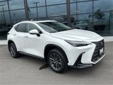 Used 2025 Lexus NX 350h AWD w/ Premium Package image 2