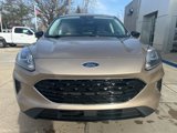Used 2021 Ford Escape SE w/ SE Sport Appearance Package image 3