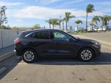 Used 2020 Ford Escape SE image 2