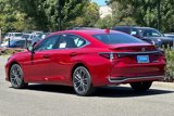 New 2025 Lexus ES 300h w/ Premium Package image 5