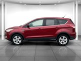 Used 2014 Ford Escape SE image 2