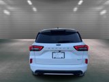 Certified 2024 Ford Escape ST-Line image 6