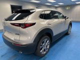 Used 2024 MAZDA CX-30 AWD 2.5 S w/ Premium Package image 2