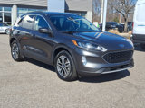 Certified 2020 Ford Escape SEL image 2