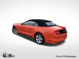 Used 2016 Ford Mustang Convertible image 3